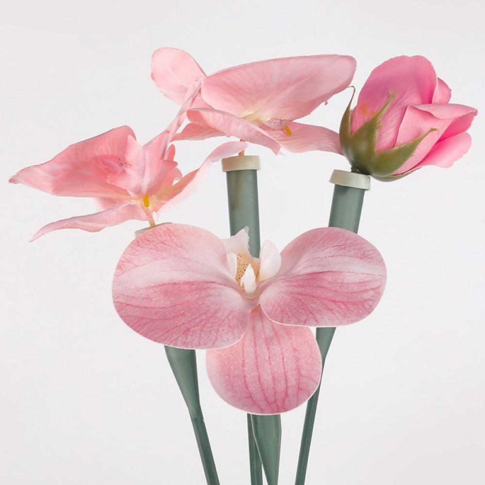Florist Supply Shop - Tabung Pengawet Bunga, Botol Plastik Transparan
